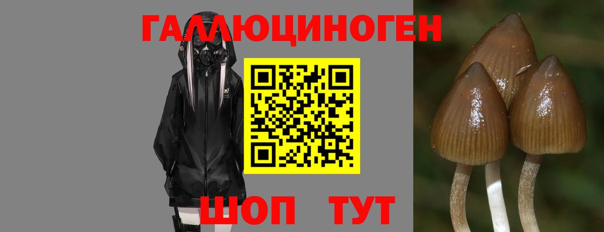 Лангепас  как найти закладки  Вход с VPN  Псилоцибиновые грибы Cubensis 